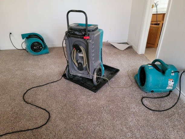 Best Local water damage restoration  in Montrose, MI