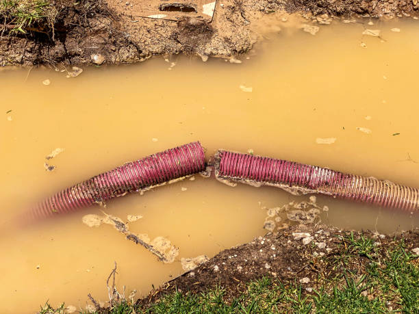 Best Emergency water damage restoration  in Montrose, MI